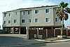 oystercove