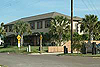 palms