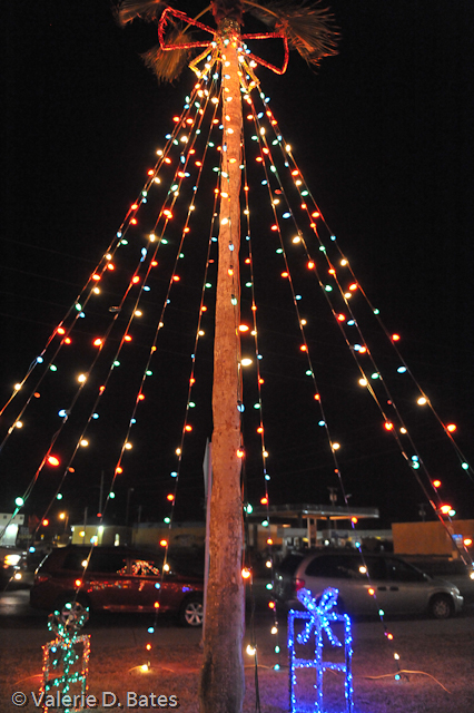 20101203_cmas-127